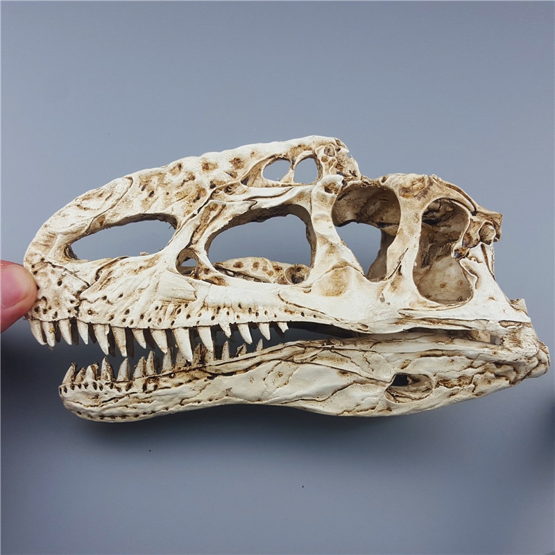 Mrzoot Resin Dinosaur Skeleton Model Educational Animal Research Teaching Tool Double Dragon Skull Design - 2